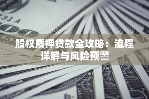北京股权质押贷款全攻略：流程详解与风险预警