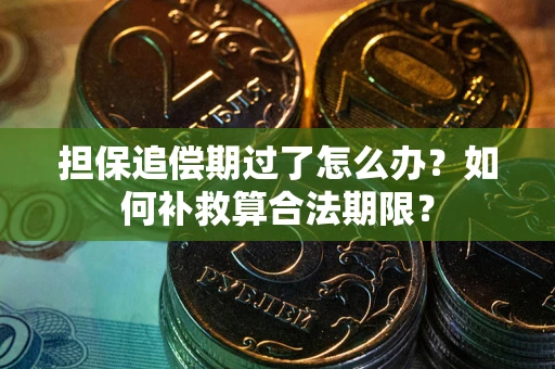 北京担保追偿期过了怎么办？如何补救算合法期限？