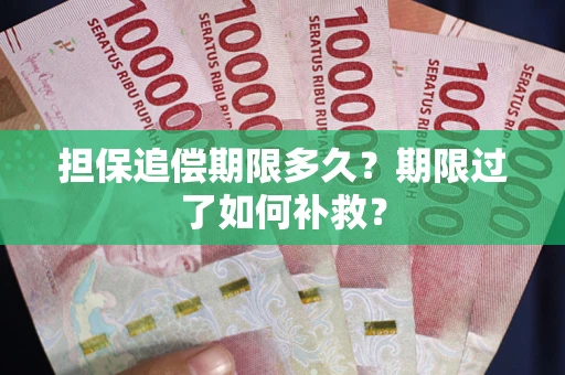 北京担保追偿期限多久？期限过了如何补救？