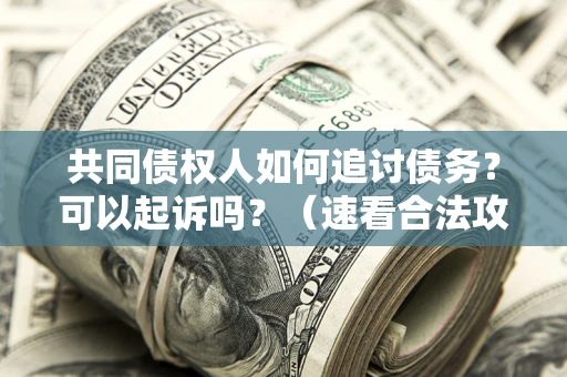 北京共同债权人如何追讨债务？可以起诉吗？（速看合法攻略）